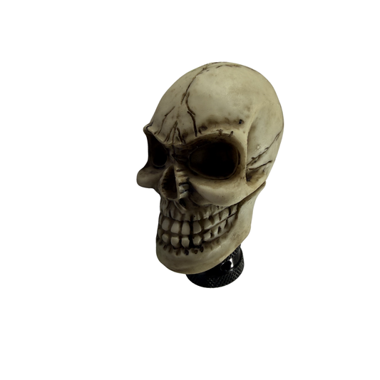Skull Gear Knob | Universal Car Shift Knob with Custom Design